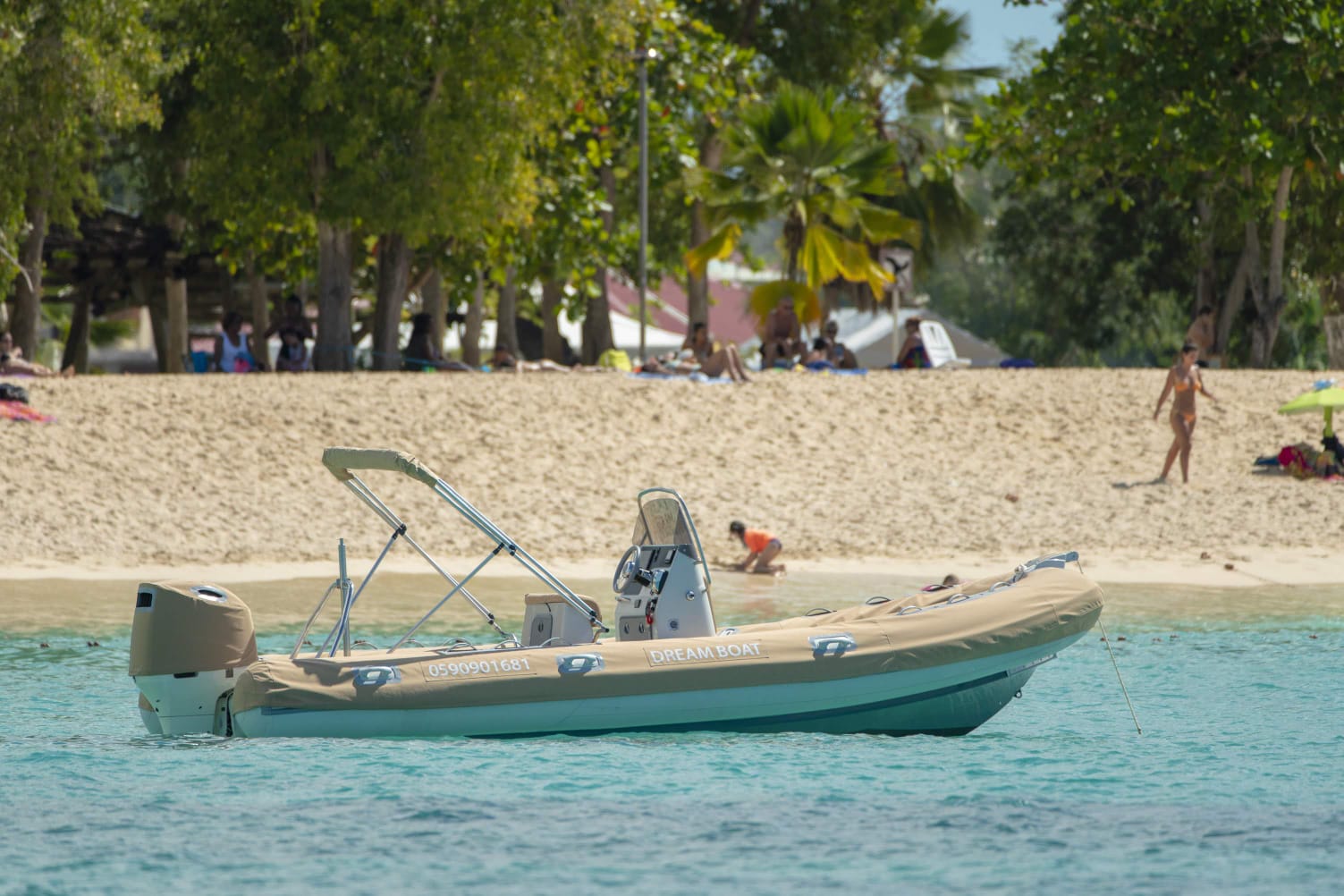 Zodiac 2 4